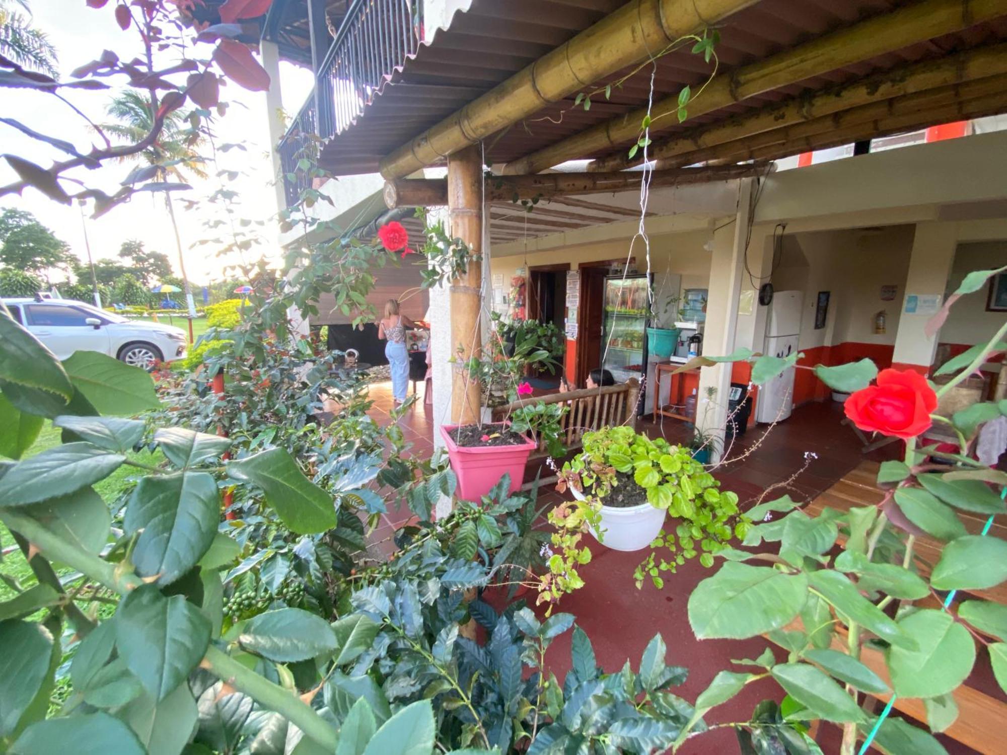 Finca Hotel Los Cocos Montenegro Exteriör bild